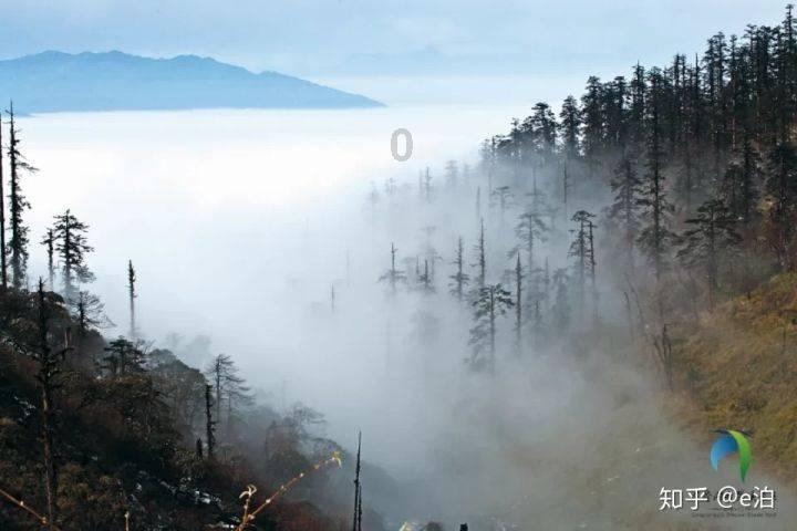 芭比滑稽服装