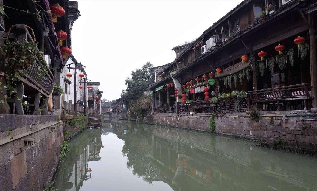蜂王救援